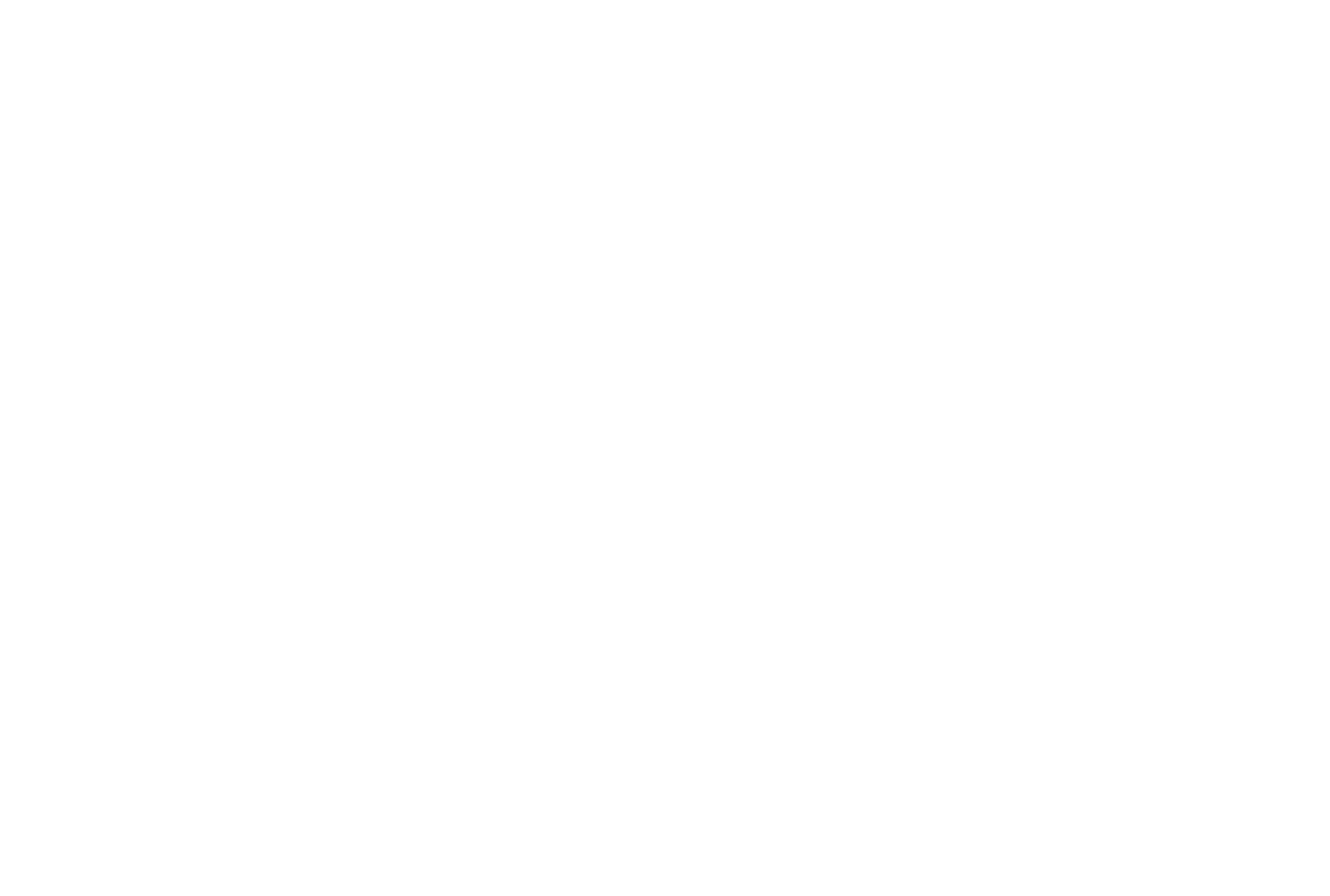 Faustina Logo